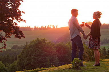 Sauerland Alpin Hotel: Autres