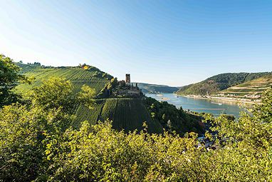 Hotel & Restaurant Weinberg-Schlösschen: Buitenaanzicht