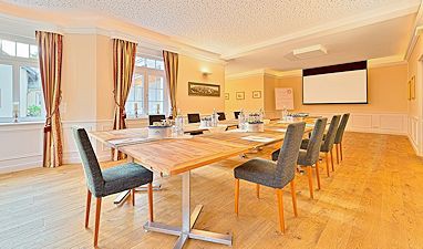 Hotel & Restaurant Weinberg-Schlösschen: Meeting Room