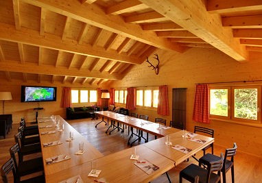 Schatzalp Snow and Mountain Resort: Meeting Room