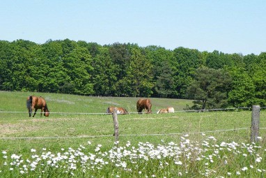 Hotel und Restaurant Gut Sarnow: Recreatie