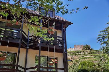 Der Löwen in Staufen: Vista exterior