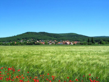 Landgasthof Büttel: Loisirs