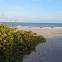 Hampton Inn Cocoa Beach/Cape Canaveral